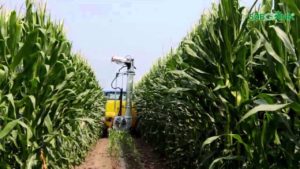 96644036-d24e-4c86-8595-d8520341a7a4