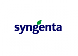syngenta-250x180