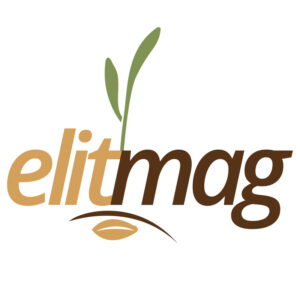 elitmag logo